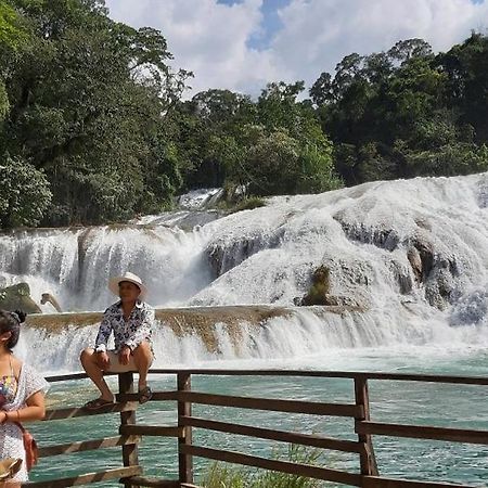 Posada Tzeltal Arroyo Agua Azul Екстер'єр фото